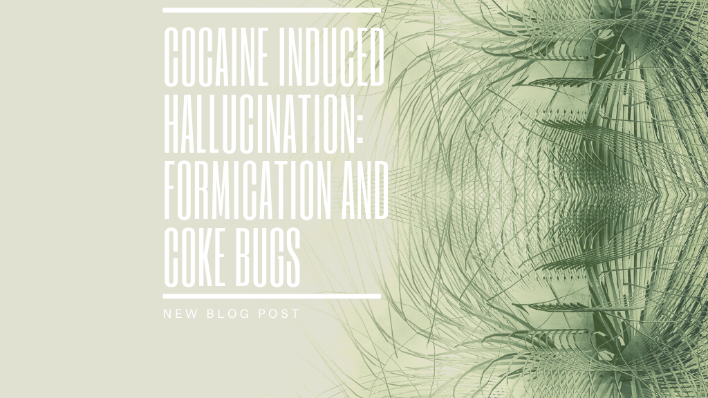 Cocaine Induced Hallucination: Formication and Coke Bugs