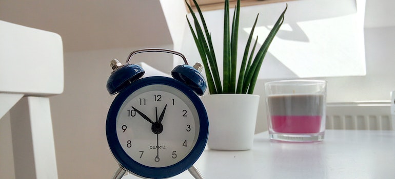 clock and plant on the table
