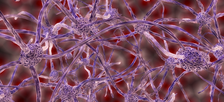 A 3D representation of a neural network.