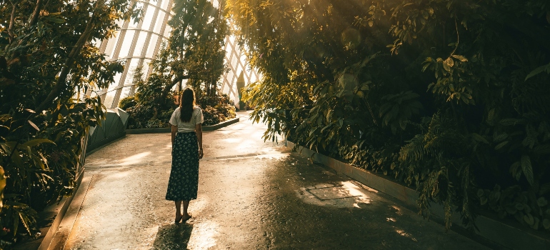 botanical garden, symbolizing one of the benefits of Florida's warm weather on mental health during detox